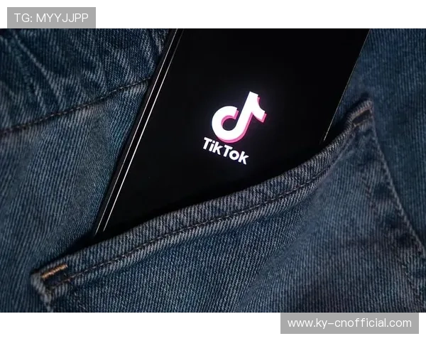 开云体育app网站注册流程详尽解析与账户安全保障措施