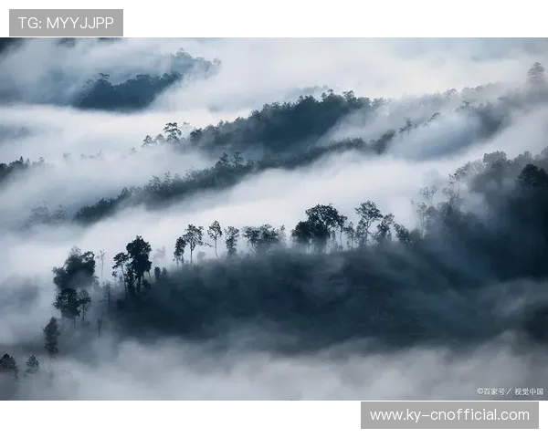 云开之际,心中的阴云散去,迎来平静与希望 云开之际,心中的阴云散去,迎来平静与希望