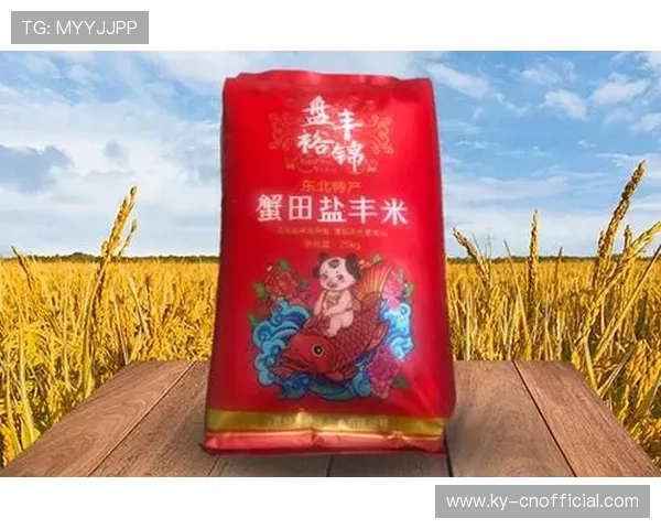 尊龙凯时九游娱乐官网注册新手必看指南提升游戏体验的实用技巧