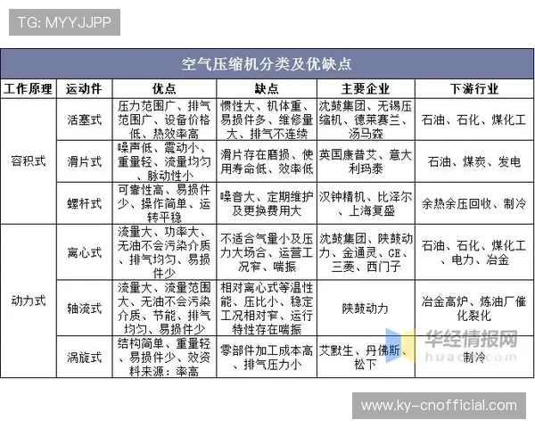 中国尊龙集团在国际市场的战略布局与未来发展前景分析