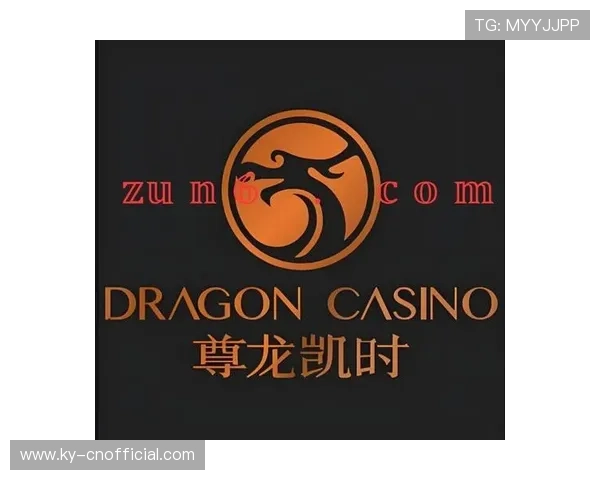 z6尊龙官网入口官方渠道，确保每位玩家都能安全顺畅地体验游戏乐趣